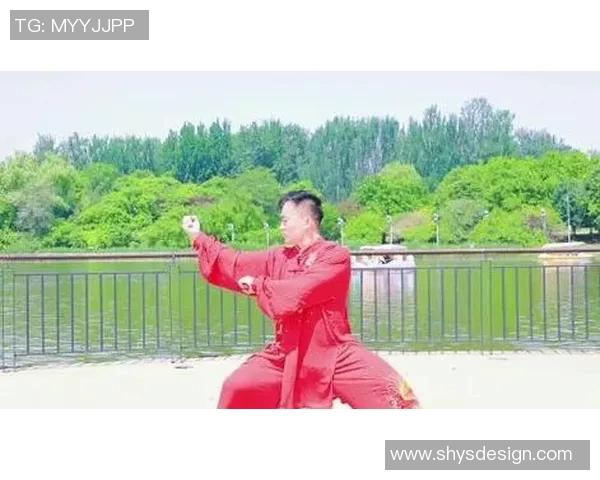 深入浅出学习16式太极拳的教学视频带你领略太极的魅力与精髓